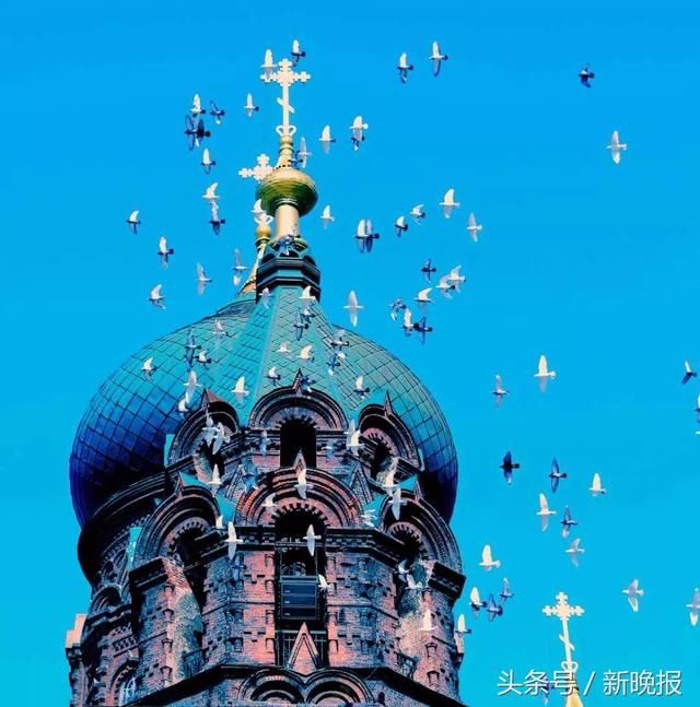 哈尔滨有群钉子户不肯搬家,让人没招又心疼|