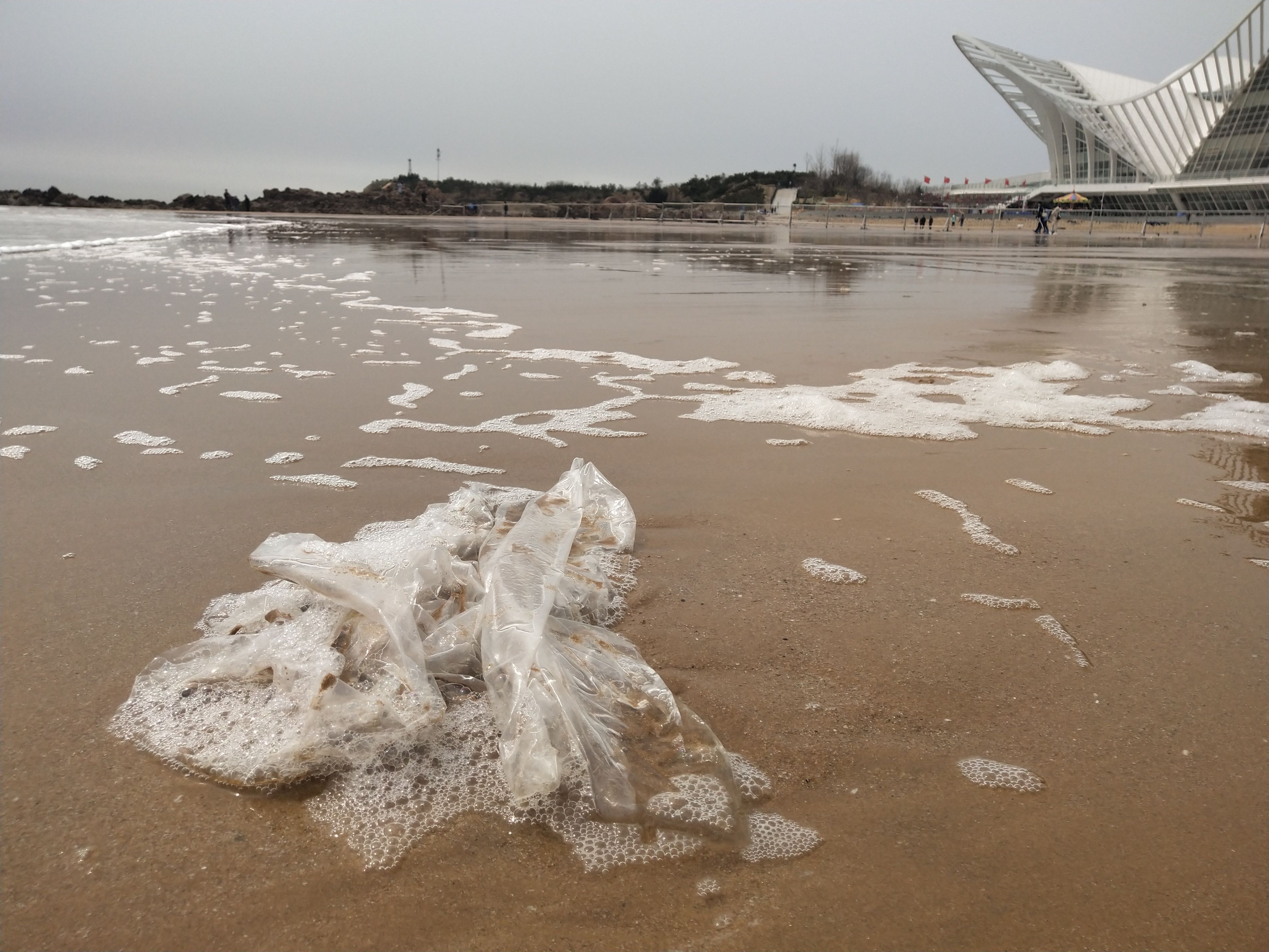 亚洲第一滩风光不再!青岛金沙滩垃圾成堆