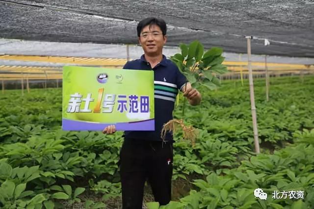 种参12年每亩多赚5万元，这个85后的“参二代”是如何做到的？