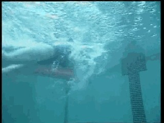 爬泳与仰泳前滚翻转身的动作要领和五个练习方