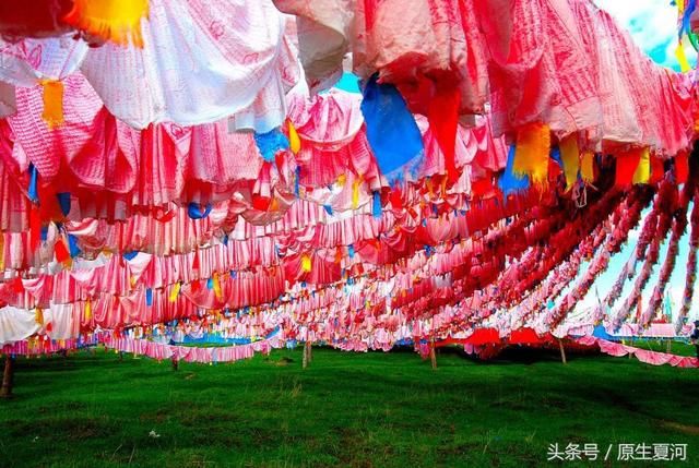 甘南旅游出现高原反应该怎么办?