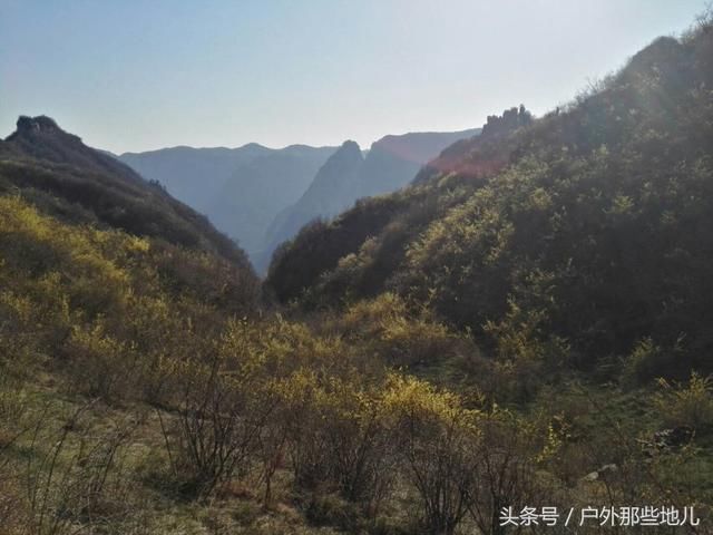 春天的太行山，连翘花儿满山坡，有一种曲径通幽之美