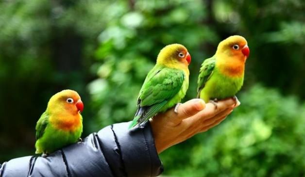 最强均线实用方法，看懂的人都赚了