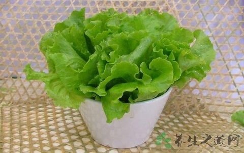 炒生菜能放蚝油吗