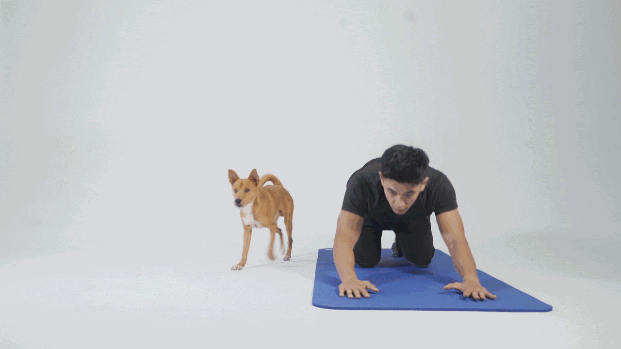 腿部拉伸 运动前先进行5~10分钟的动态热身运动 正常的训练 训练后