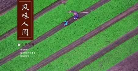 头部精品+细分受众 腾讯视频V视界大会2018内