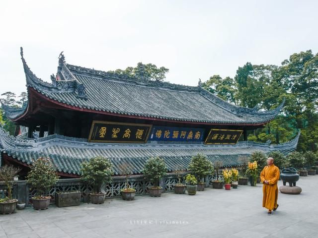 鸽子花开，四月荥经，还有你不知道的这些小众之地