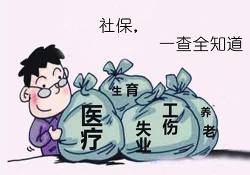 查社保，动动手指在手机上面就可以查了