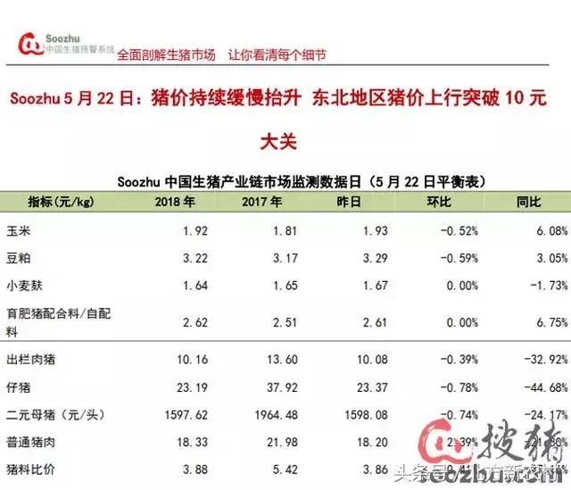 东北地区猪价快速飙升，上行突破10元大关！