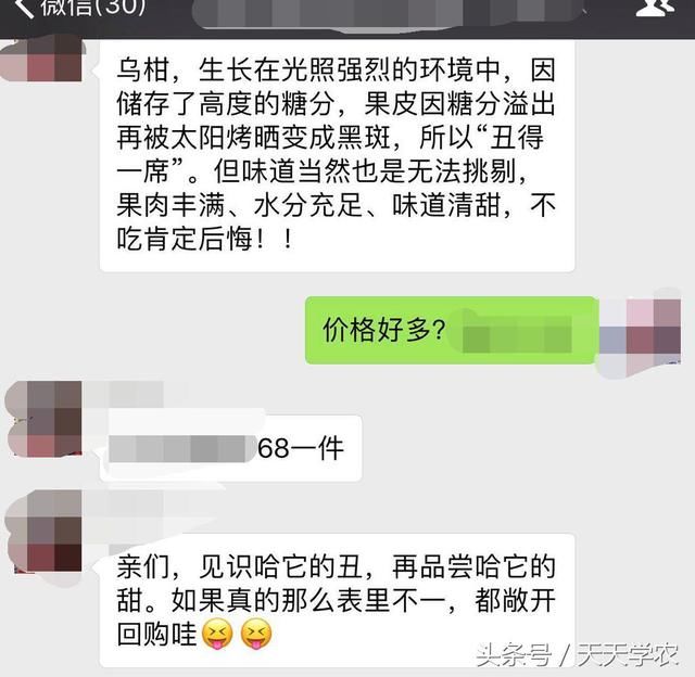 “乌柑”68元\/件，这是新的柑橘品种？好种吗？怎么那么贵？