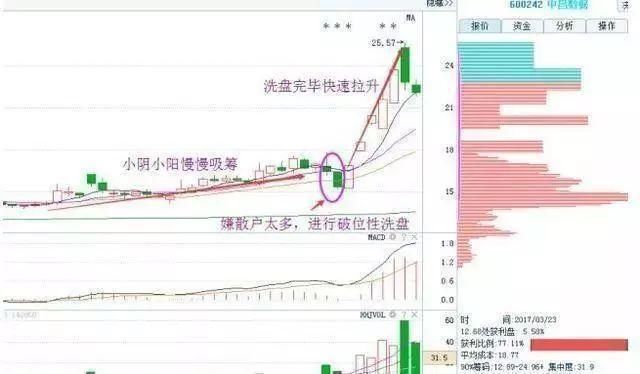 中国股市终于扯掉最后一块“遮羞布”,大批散户相继退市，谁之过