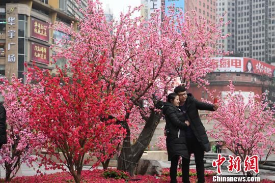 重庆闹市大片“桃花”盛开成美丽风景线