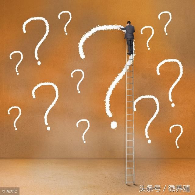 2018年农民朋友你是选择继续养猪，还是准备转行养鸡或其他呢？