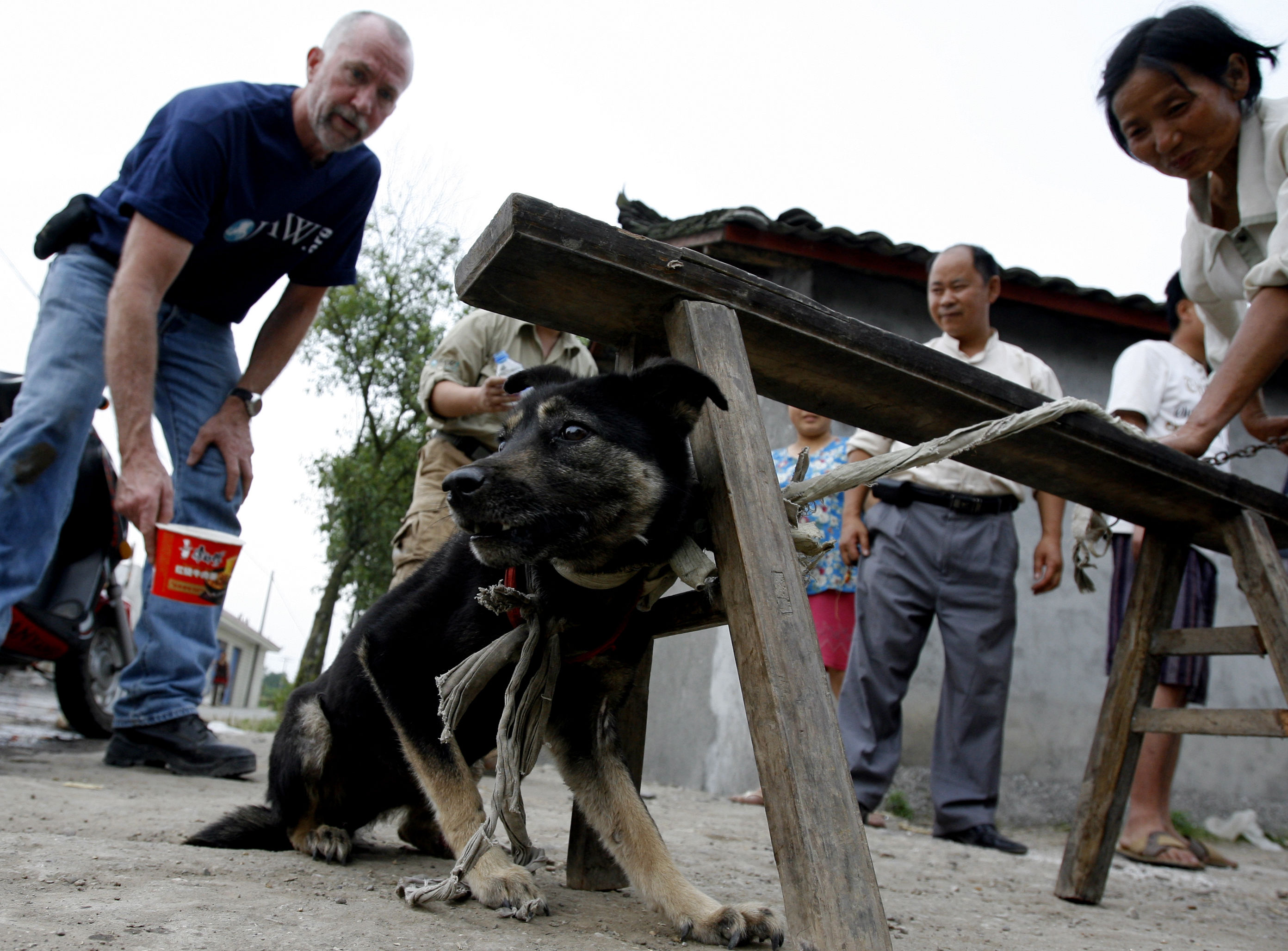 硬盘深处:汶川地震十周年祭中外联合救援队奔