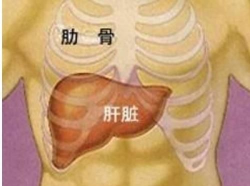 这个部位总是发臭,暗示肝脏有大问题,再不重视