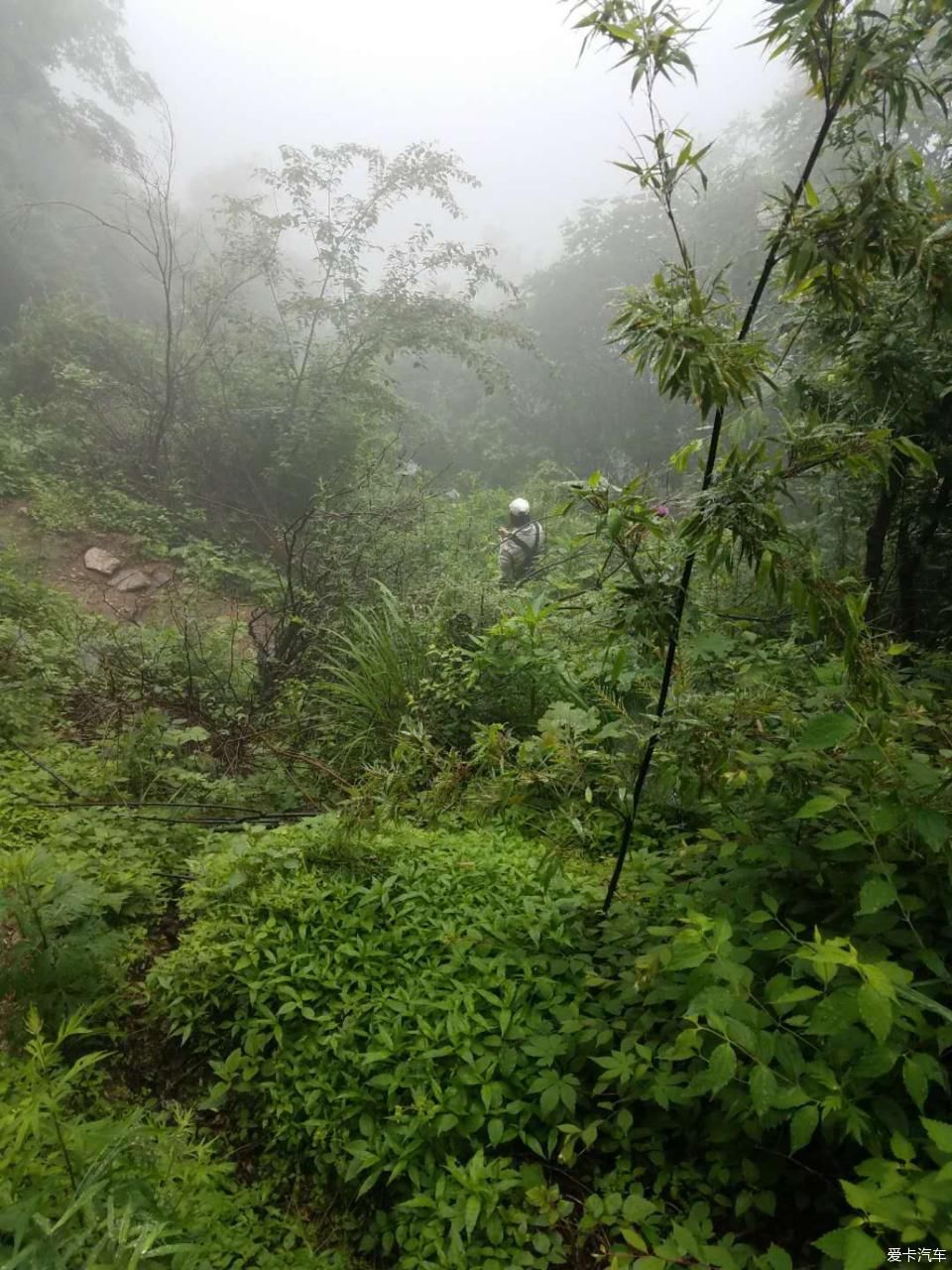 陕西福特车队秦岭大峪自驾游汇报帖