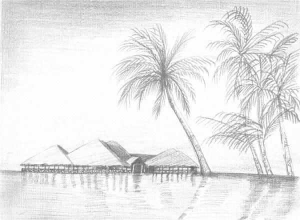 素描风景"椰风海韵"的绘画步骤