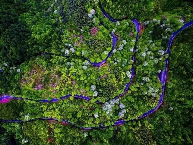 浙江隐藏的7条如诗如画的绝美“天路”你去过几条？