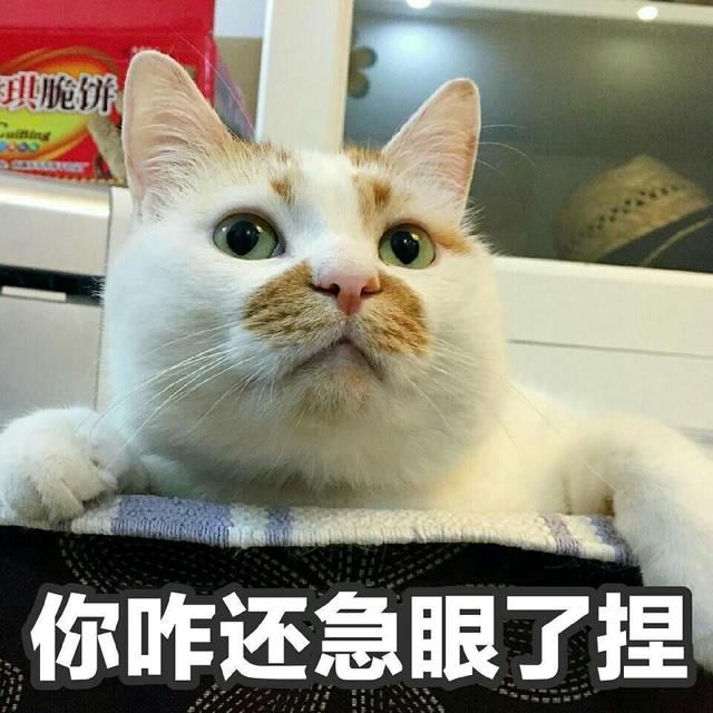 有趣话题:一人一句方言,猜猜你是哪里人?