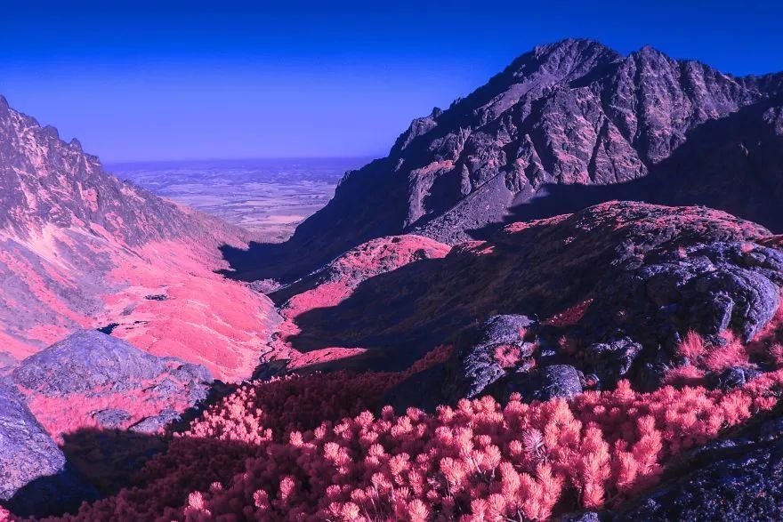 【每日美图】红外摄影里的粉红世界