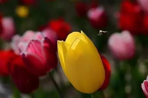 大美宁夏，火热盛夏来临，一起走进大自然~