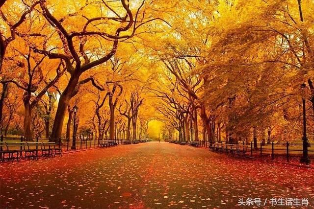 5月过，鸿运临，3生肖，接好运，展宏图