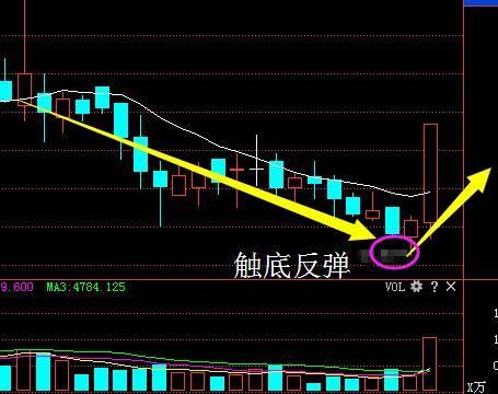 芯片又一新龙头崛起，年报业绩暴增拟10转30，或复制国民技术飙涨