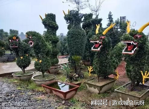 斗鱼主播这波操作真是6 为超级神豪准备史上最