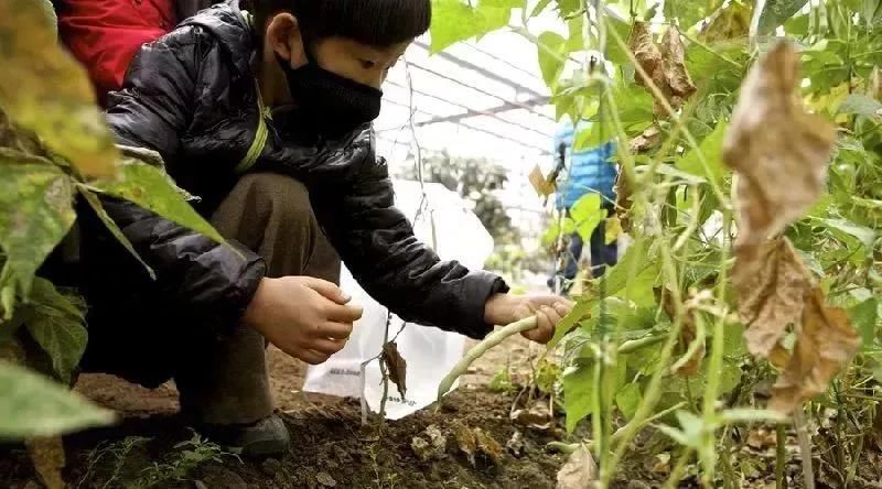 今年农村户口再升值 城里人看了眼红