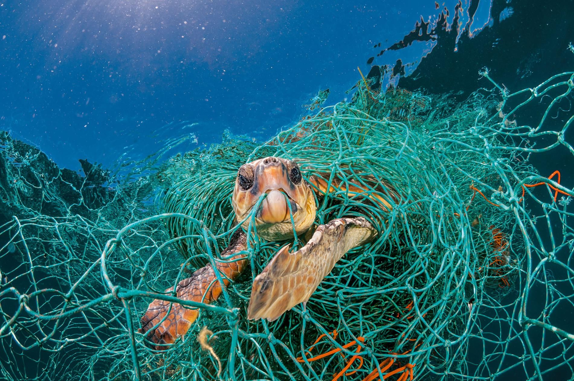 全球令人担忧塑料垃圾污染,每年900万吨流入海