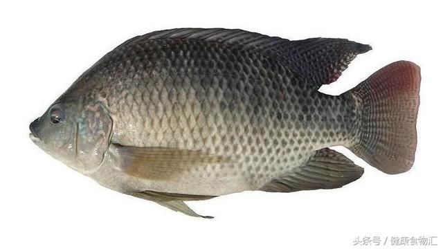 手把手教你福寿鱼的做法，没有鱼腥味，还很鲜甜美味，做法很简单