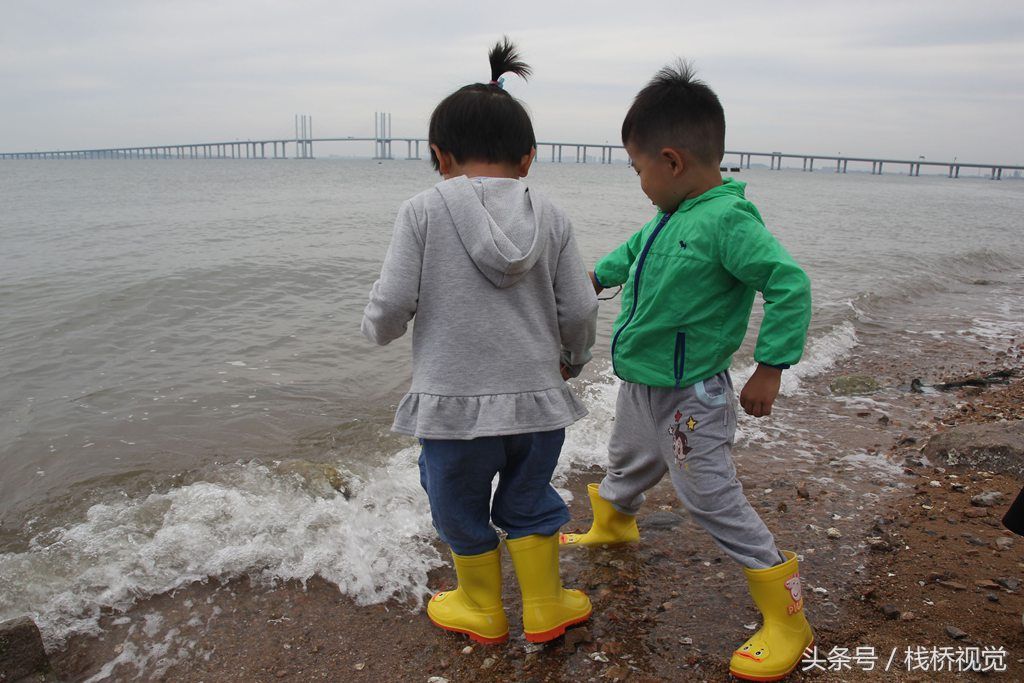 青岛胶州湾小螃蟹泛滥，赶海能抓好几百只回家油炸下酒爽歪歪