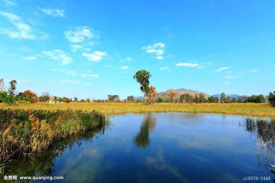 彩票技巧别不信!敞开了和你讲原理!