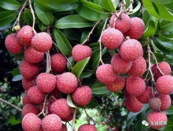 新生儿有三个表现就该喝水,尤其是吃母乳宝宝