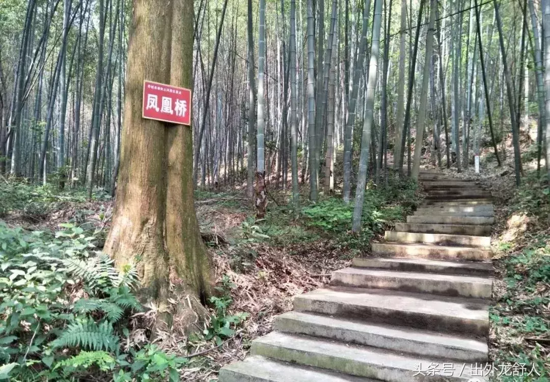 安徽舒城:影像志|四大名山之首春秋山 秦代儒生护典籍得名?