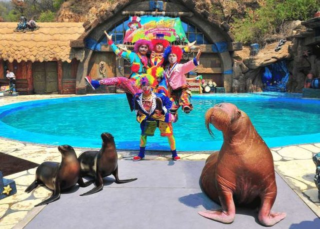 辽宁美女最多的一座城市，男游客感叹：结婚太早！