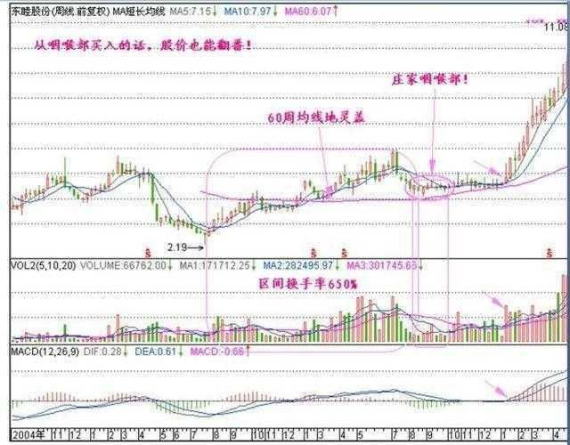 一位炒股天才悟出周线选股铁律，只买一种股票，躺着等涨停！