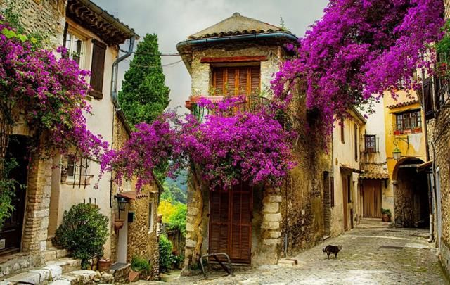 这五个地方,比西塘和凤凰还美!去了不想走,你知道是哪里吗?