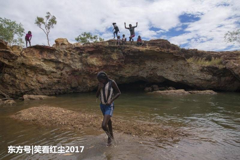 来自澳大利亚的有趣照片 来自澳洲的那些趣事，袋鼠乱穿马路，蛇