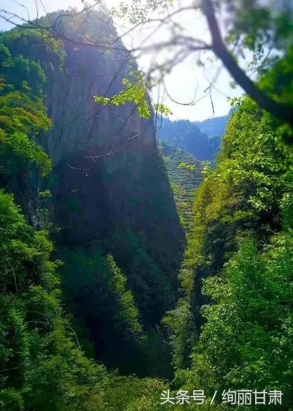 陇南深山发现溶洞群，快来一睹“芳容”吧！