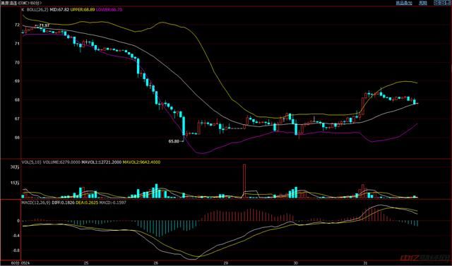 5.31原油今日最新价格走势分析，原油多少钱一桶