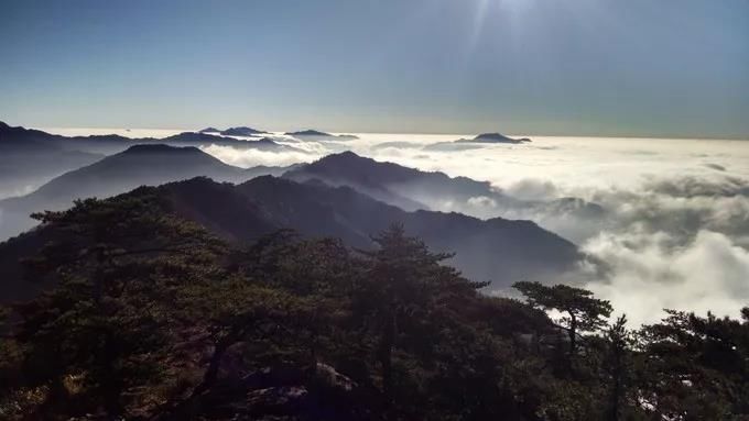 我叫安徽，请看我的简历