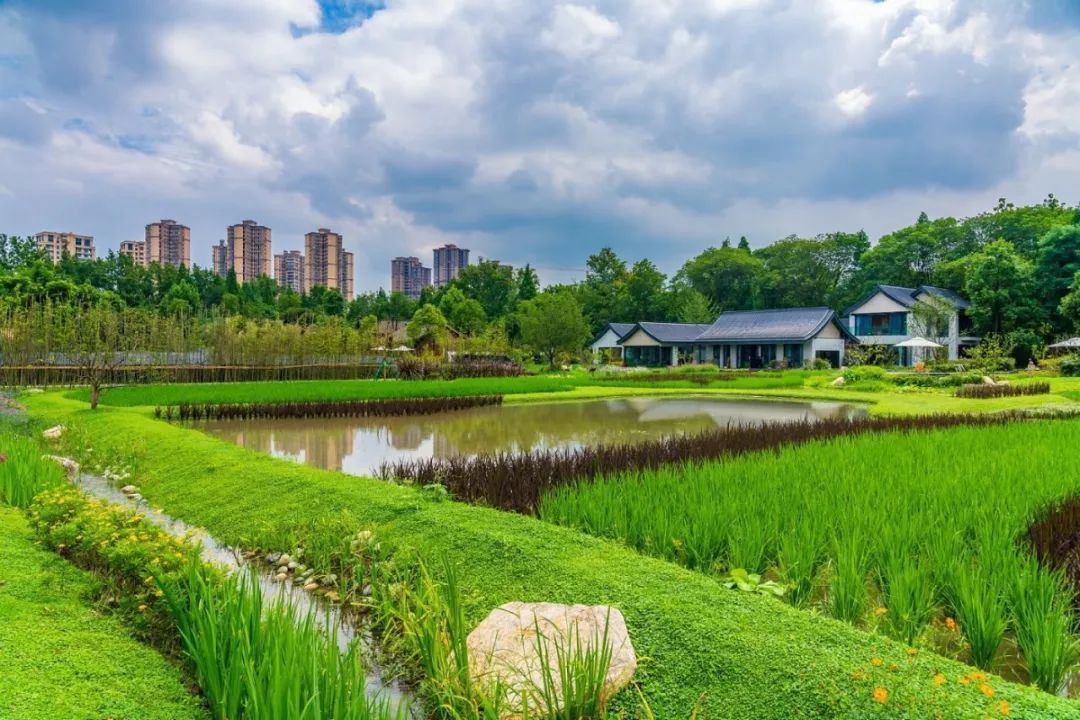 四川生态保护厅