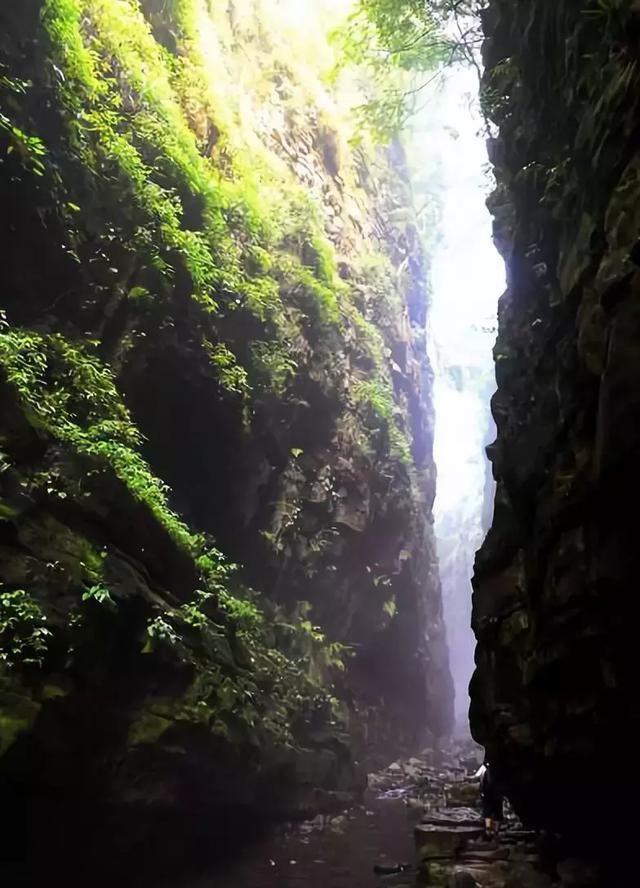 6月的成都最佳的旅行时间,去找一处清幽之处露