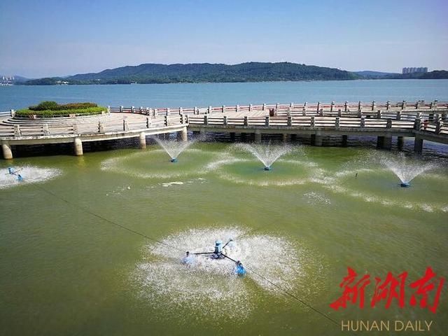 岳阳武汉两地联手会诊南湖水环境治理