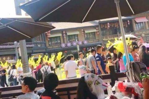 游客哄抢展览花?景区辟谣:假景观花赠送游客