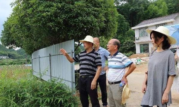 农村土地可流转