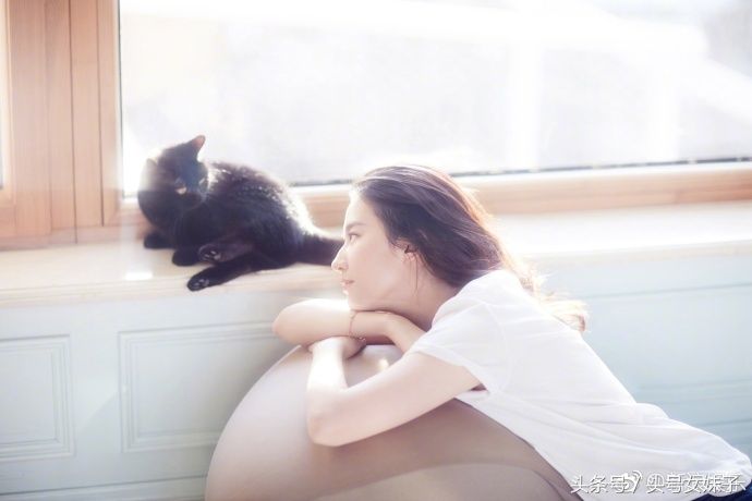 刘亦菲偏喜欢猫 喜欢猫的女人的性格是怎样的