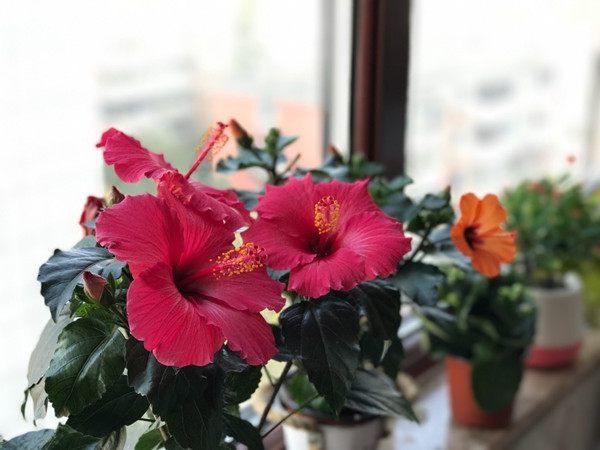 t011b62157ff3d35597.jpg