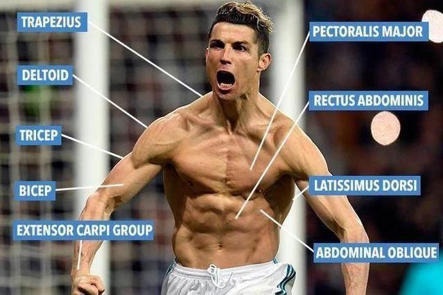 世界杯，C罗的肌肉是怎样炼成的?普通人需要做到几点?